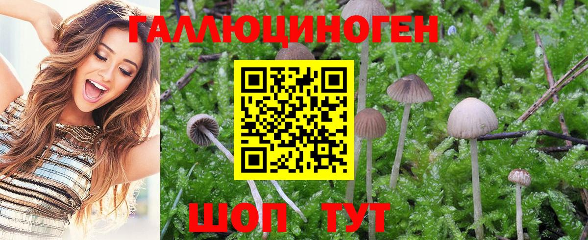 Псилоцибиновые грибы Magic Shrooms  Галлюциногенные грибы Cubensis  купить закладку  Анжеро-Судженск  Вход с VPN 