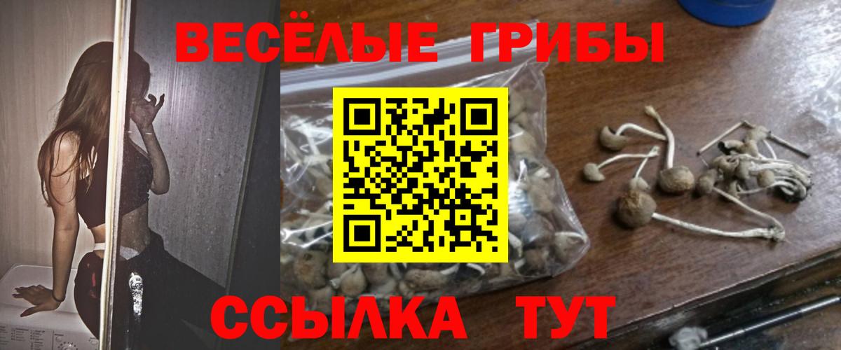 Псилоцибиновые грибы ЛСД Анжеро-Судженск